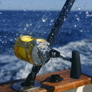 Saltwater Fishing