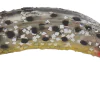 FlatFish F-2 - Image 3
