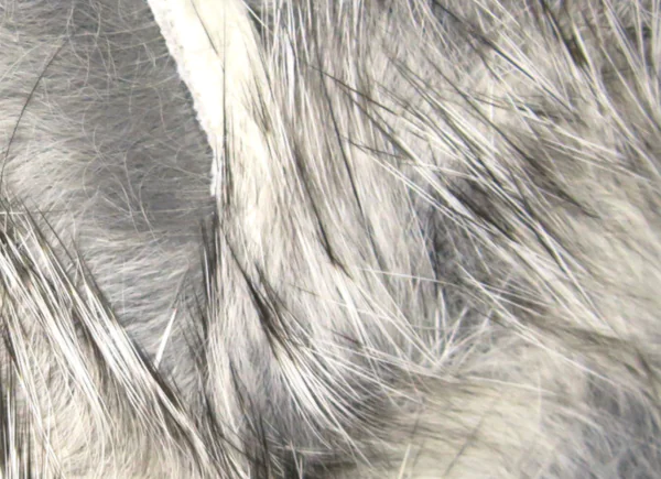 Hareline Crosscut Rabbit Strips - Image 6
