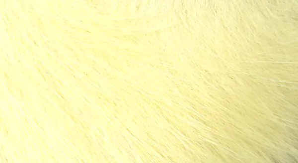 Hareline Crosscut Rabbit Strips - Image 7