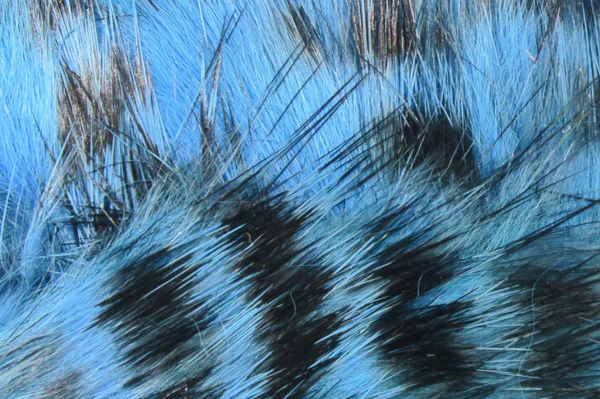 Black Barred Rabbit Strips - Image 3