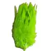 Wapsi Strung Rooster Saddle Hackle - Image 4
