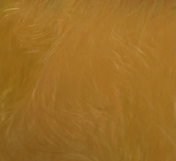 Wapsi Strung Marabou - Image 10