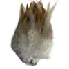 Wapsi Strung Rooster Saddle Hackle - Image 8