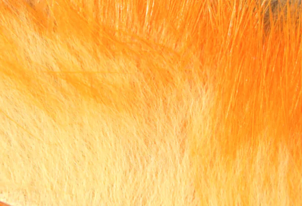 Hareline Crosscut Rabbit Flesh Strips Two Tone - Image 4