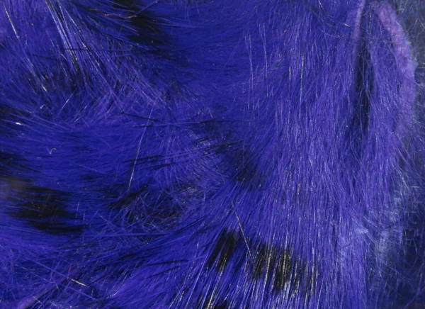 Black Barred Rabbit Strips - Image 4