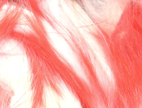 Hareline Rabbit Flesh Strips Two Tone - Image 3