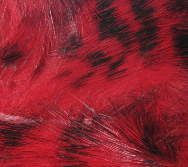 Black Barred Rabbit Strips - Image 5