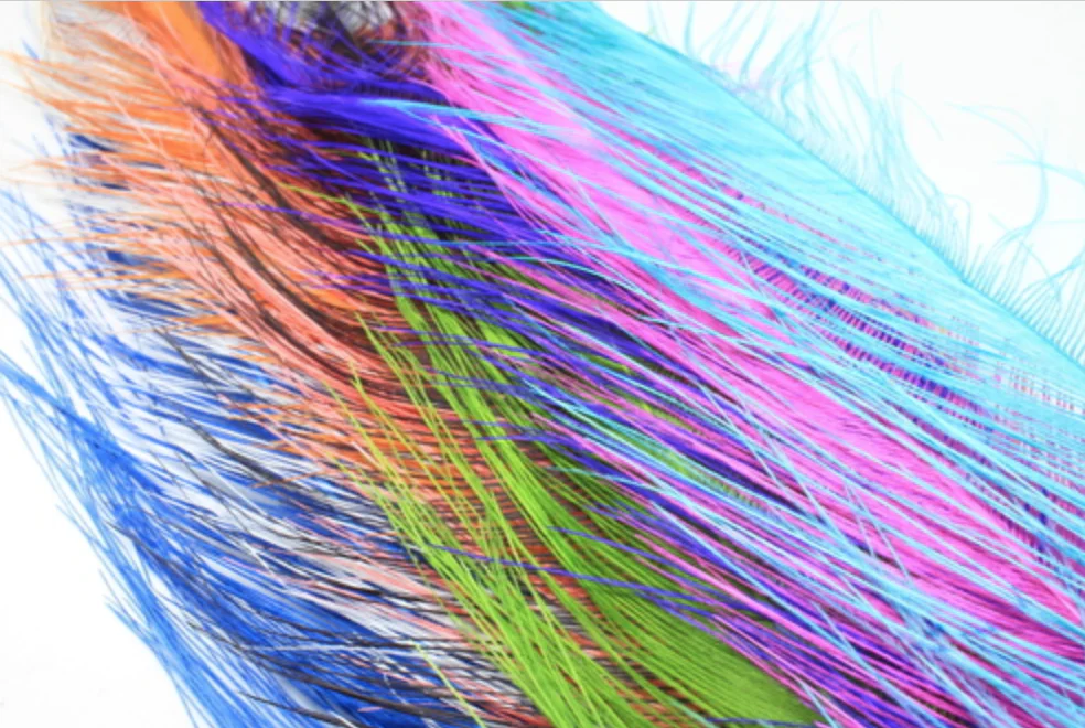 Rhea Feathers - Blue