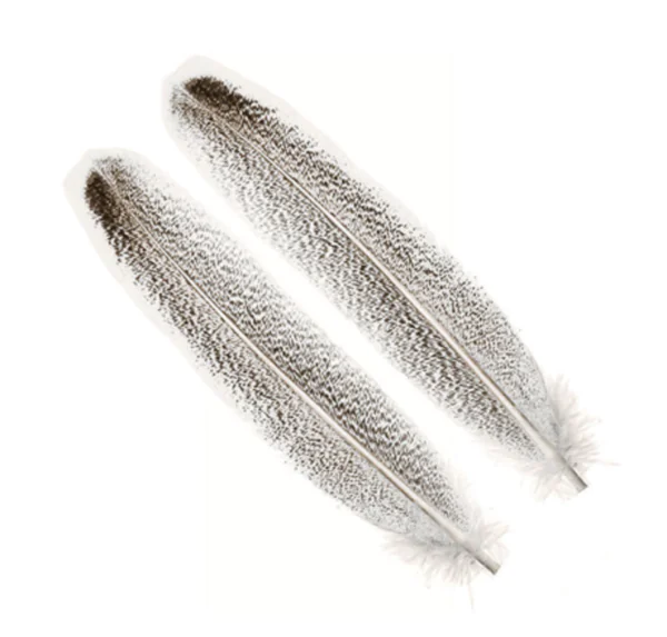 Wapsi Turkey Wing Quill Mottled Oak #3