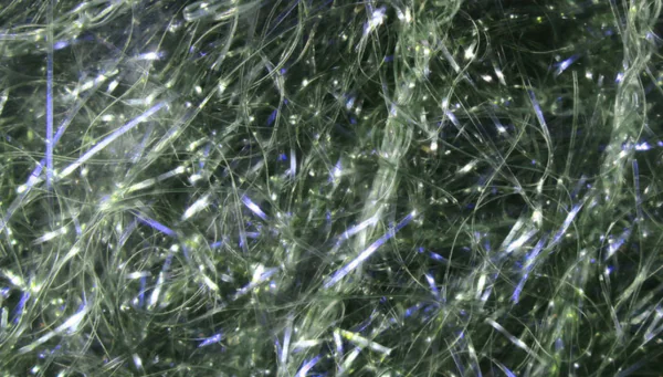 Dyed UV Polar Chenille - Image 13