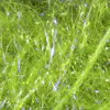 Dyed UV Polar Chenille - Image 10