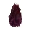 Wapsi Strung Rooster Saddle Hackle - Image 18