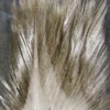 Coq de Leon - Image 3
