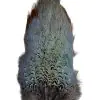 Nature's Spirit Ringneck Pheasant Rump Patch - Image 3