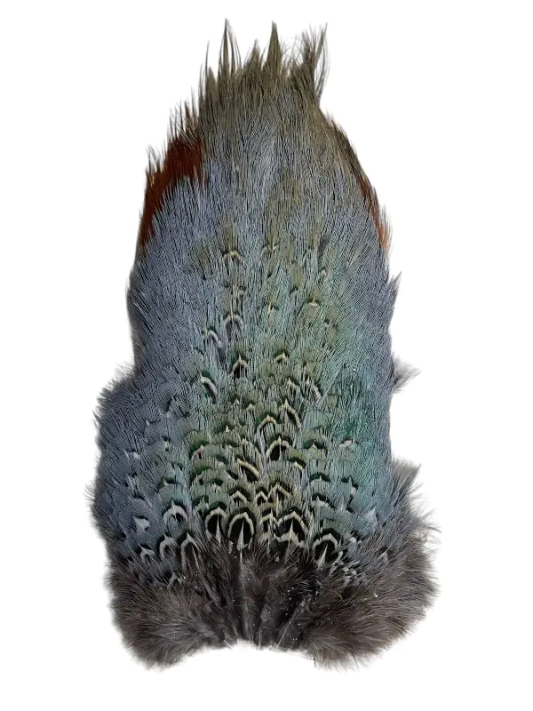 Nature's Spirit Ringneck Pheasant Rump Patch - Image 3