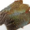Nature's Spirit Ringneck Pheasant Rump Patch