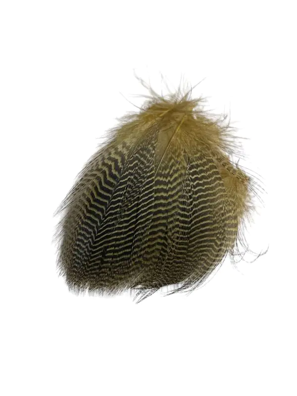 Nature's Spirit Teal Barred Flanks - Image 12