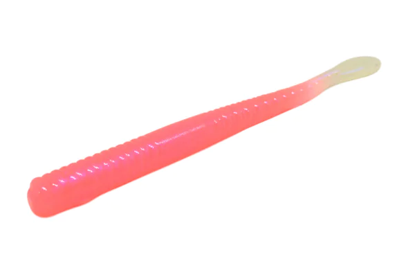 WFO PD Worms - Image 4