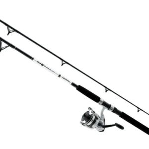 Daiwa D-Wave Spinning Combo