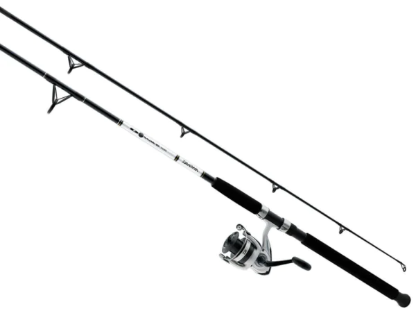 Daiwa D-Wave Spinning Combo