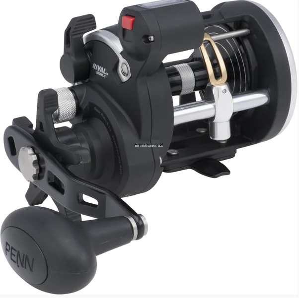 Penn Rival Levelwind Reel w/ Linecounter