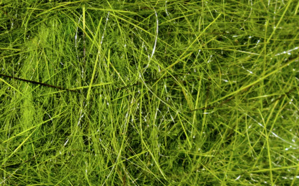 Hareline Hare's Ear Plus Dub - Image 2