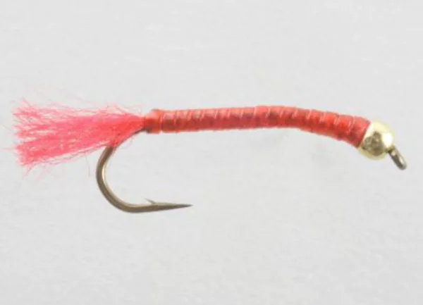 Chironomids - Image 25