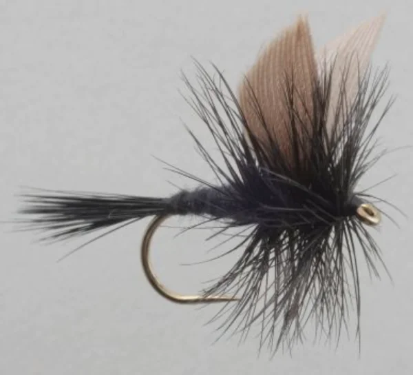 Dry Flies - Image 7