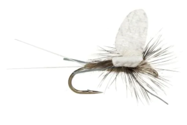 Dry Flies - Image 18