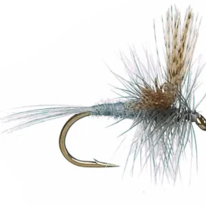 Dry Flies