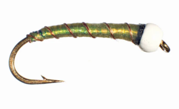 Chironomids - Image 13