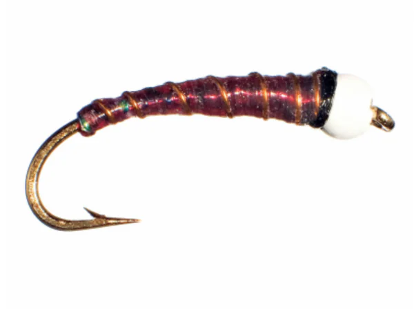 Chironomids - Image 12
