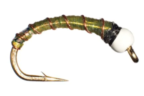 Chironomids