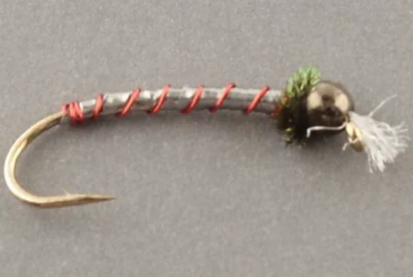 Chironomids - Image 6