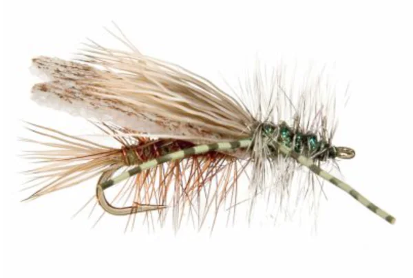 Dry Flies - Image 41