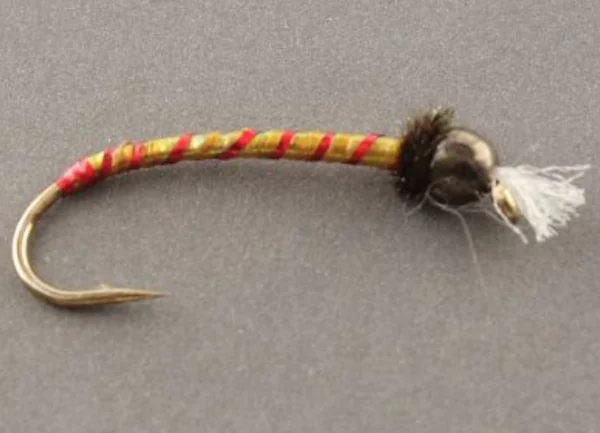Chironomids - Image 5