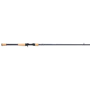 Pflueger President XT Casting Rod