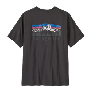 Patagonia Men's Fitz Roy Foothills T-Shirt